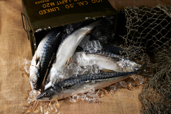 Taylor Made Raw Performance Chicken 21lb